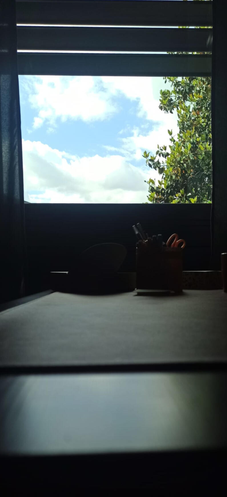 Window view